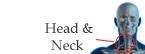 head-neck